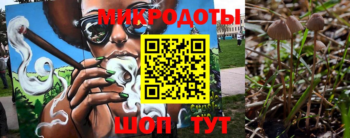 Псилоцибиновые грибы Psilocybine cubensis Элиста