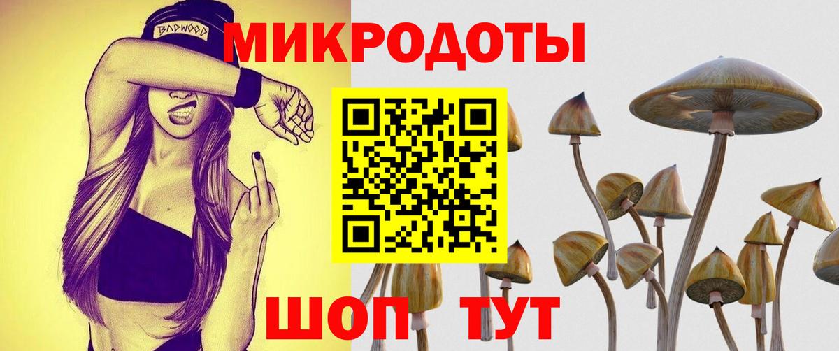 Галлюциногенные грибы MAGIC MUSHROOMS  Вход с VPN  Элиста 